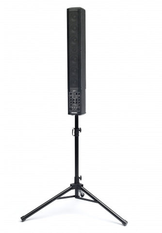 Fishman SA220 Solo Performance System