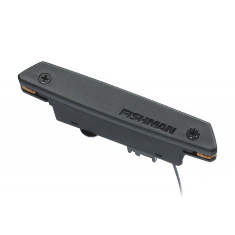 Fishman Rare Earth Humbucking Soundhole Pickup